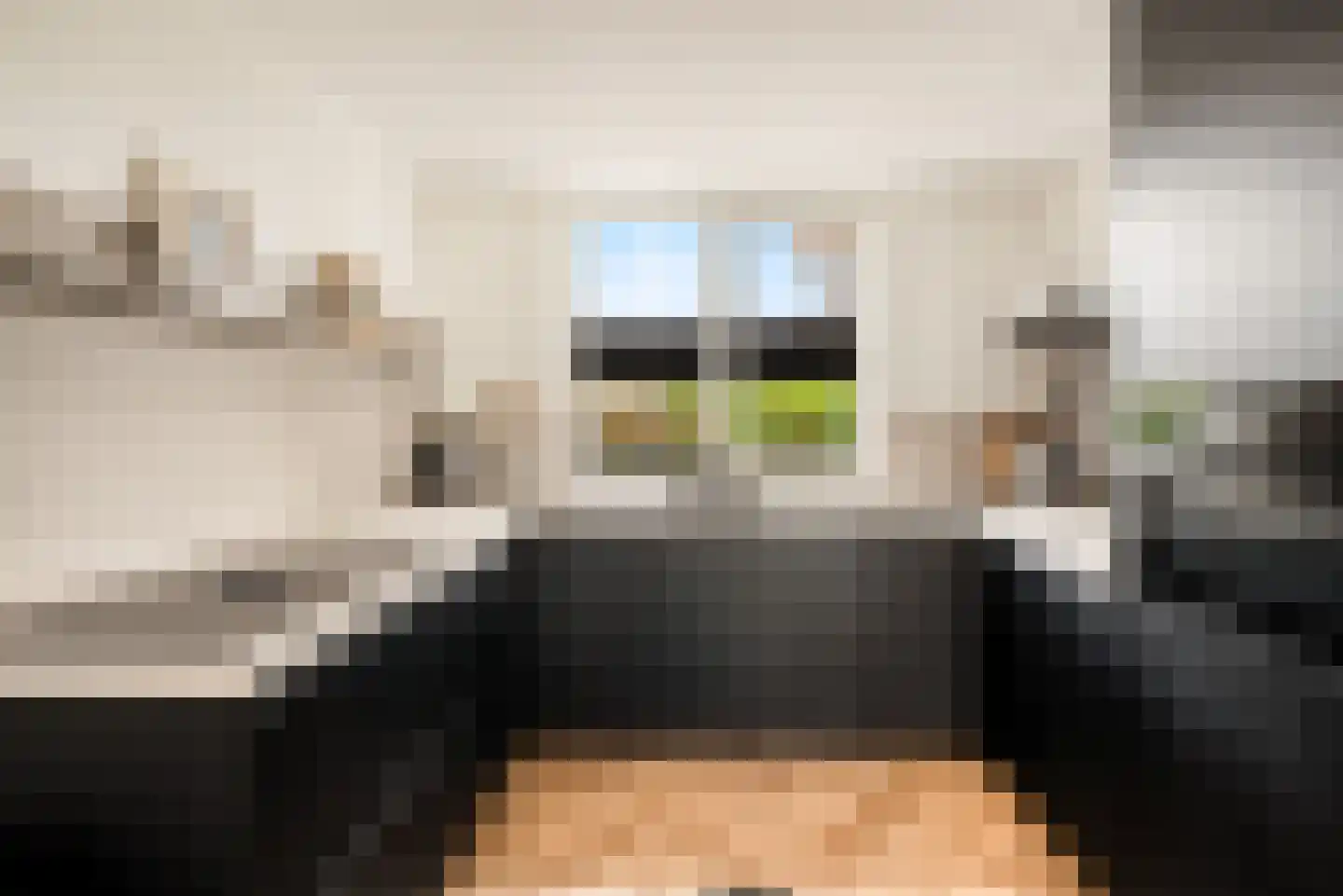 Cornelis Visserstraat 23 Spaarndam thumbnail 4