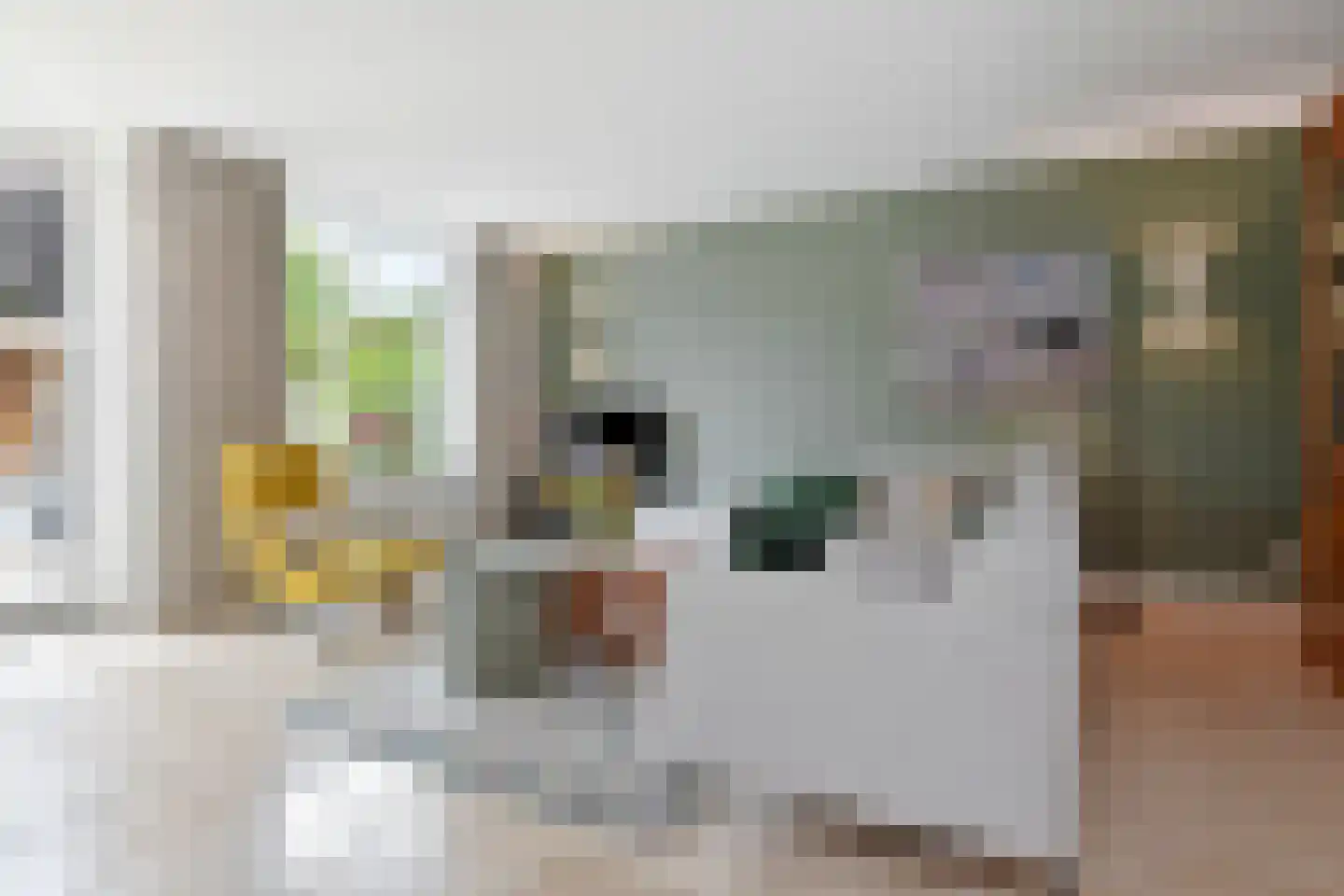 Cornelis Voorhoevelaan 24 Voorburg thumbnail 10