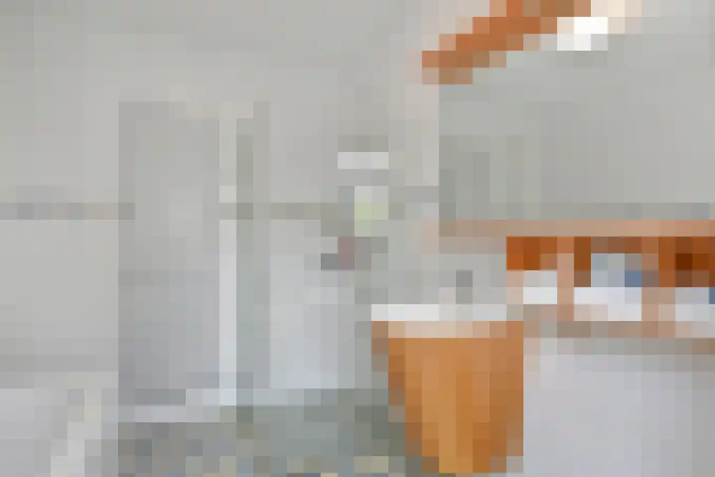 Cornelis Voorhoevelaan 24 Voorburg thumbnail 21