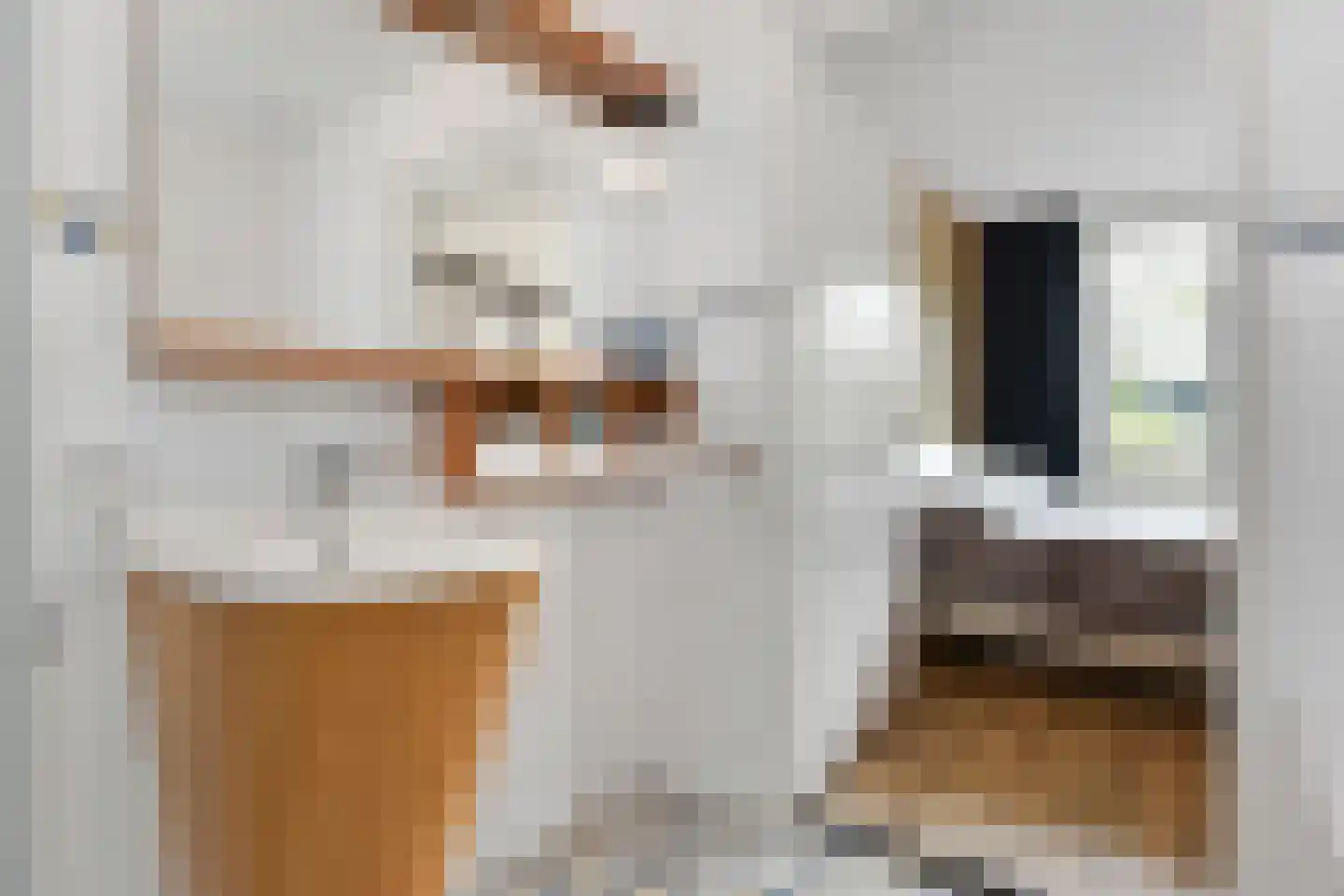 Cornelis Voorhoevelaan 24 Voorburg thumbnail 22