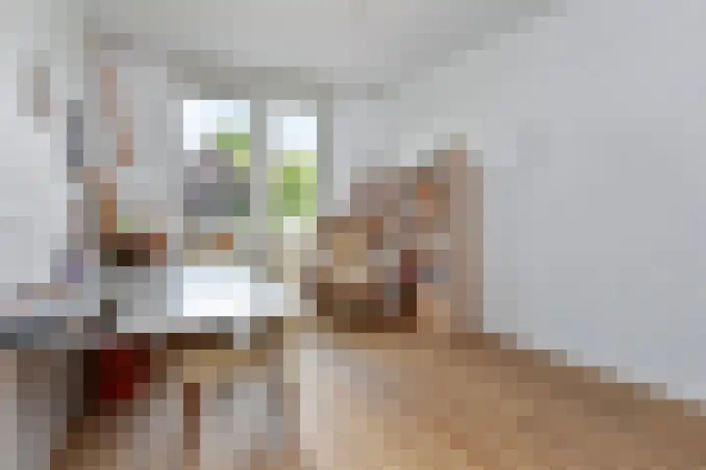 Cornelis Voorhoevelaan 24 Voorburg thumbnail 26