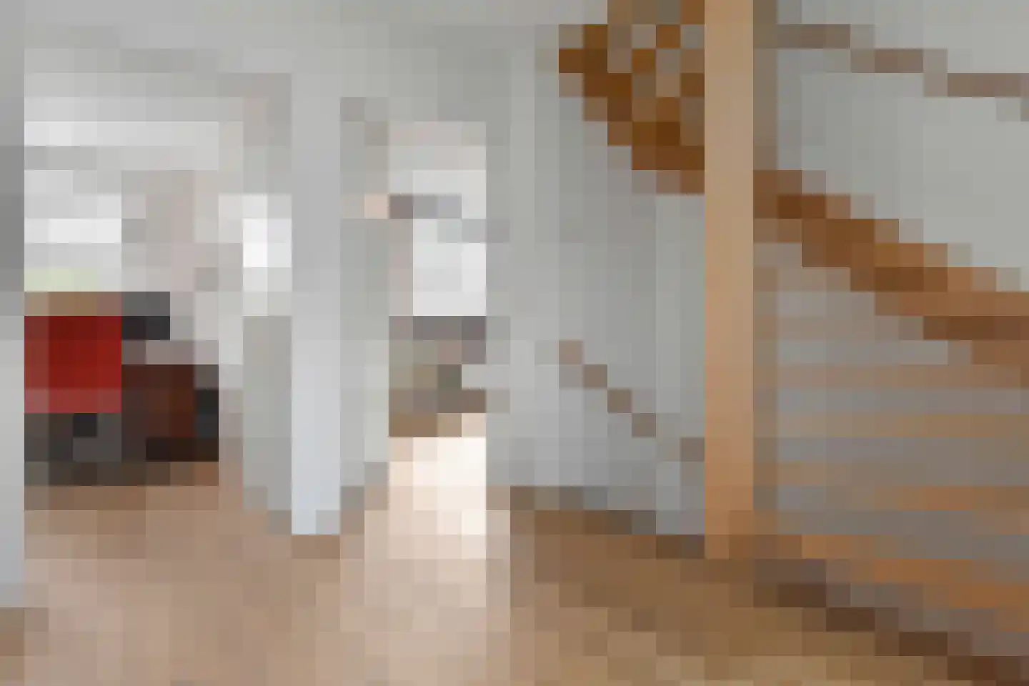 Cornelis Voorhoevelaan 24 Voorburg thumbnail 27