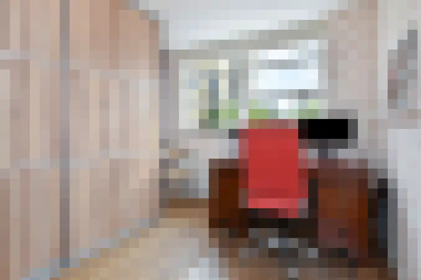 Cornelis Voorhoevelaan 24 Voorburg thumbnail 28