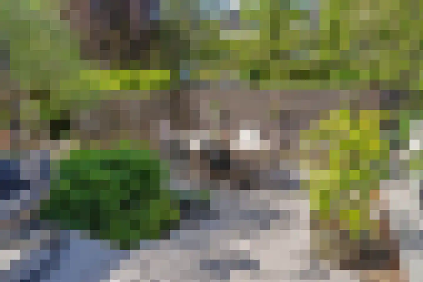 Cornelis Voorhoevelaan 24 Voorburg thumbnail 35