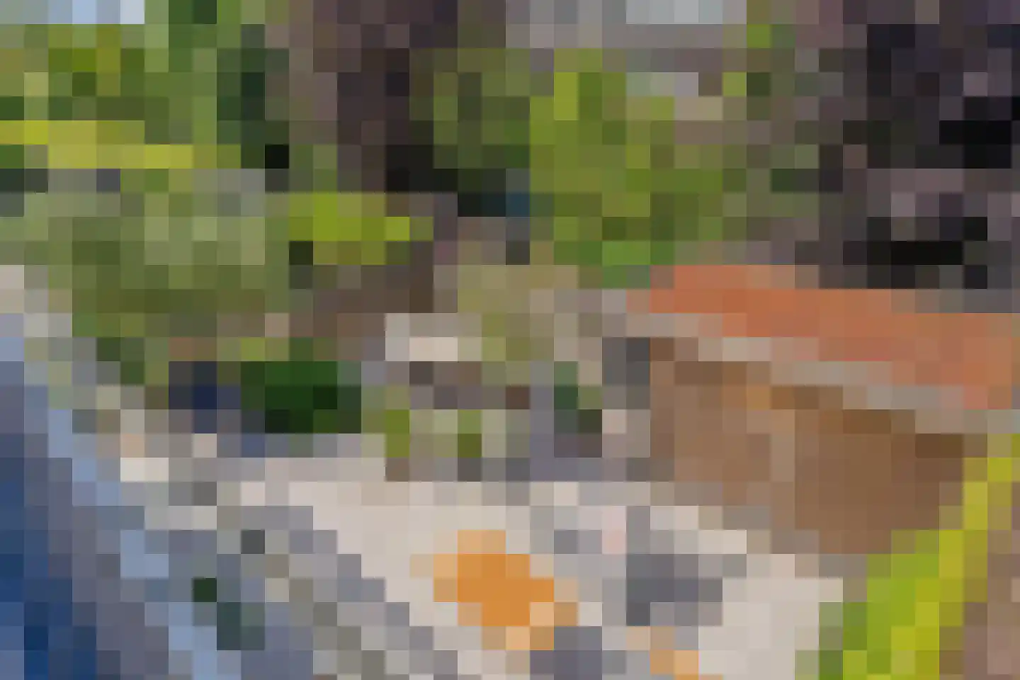 Cornelis Voorhoevelaan 24 Voorburg thumbnail 36