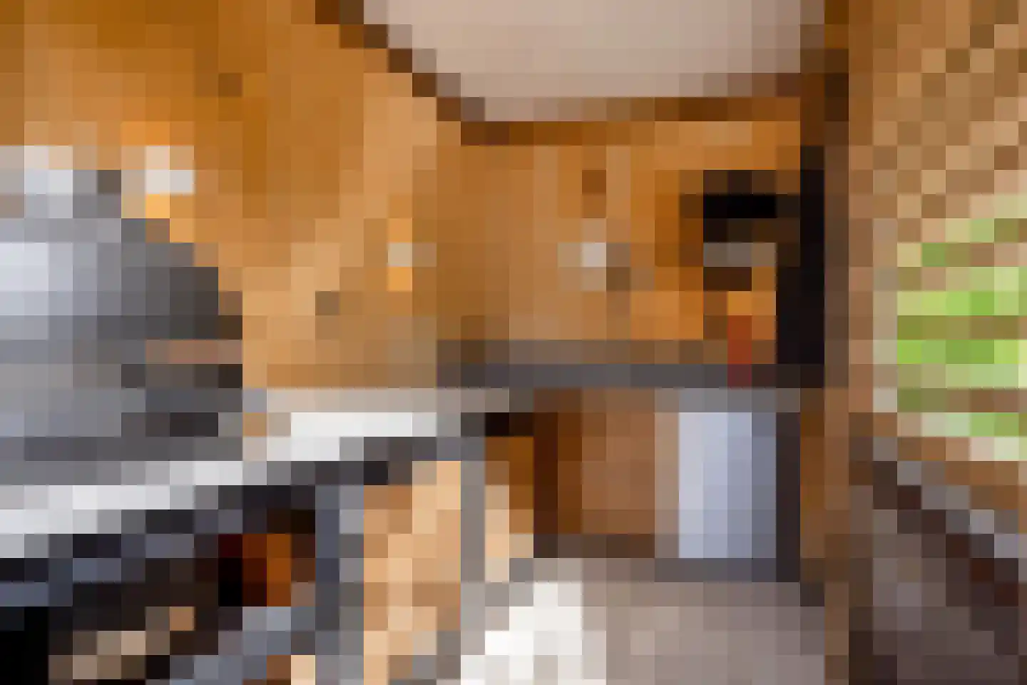 Cornelis Voorhoevelaan 24 Voorburg thumbnail 37
