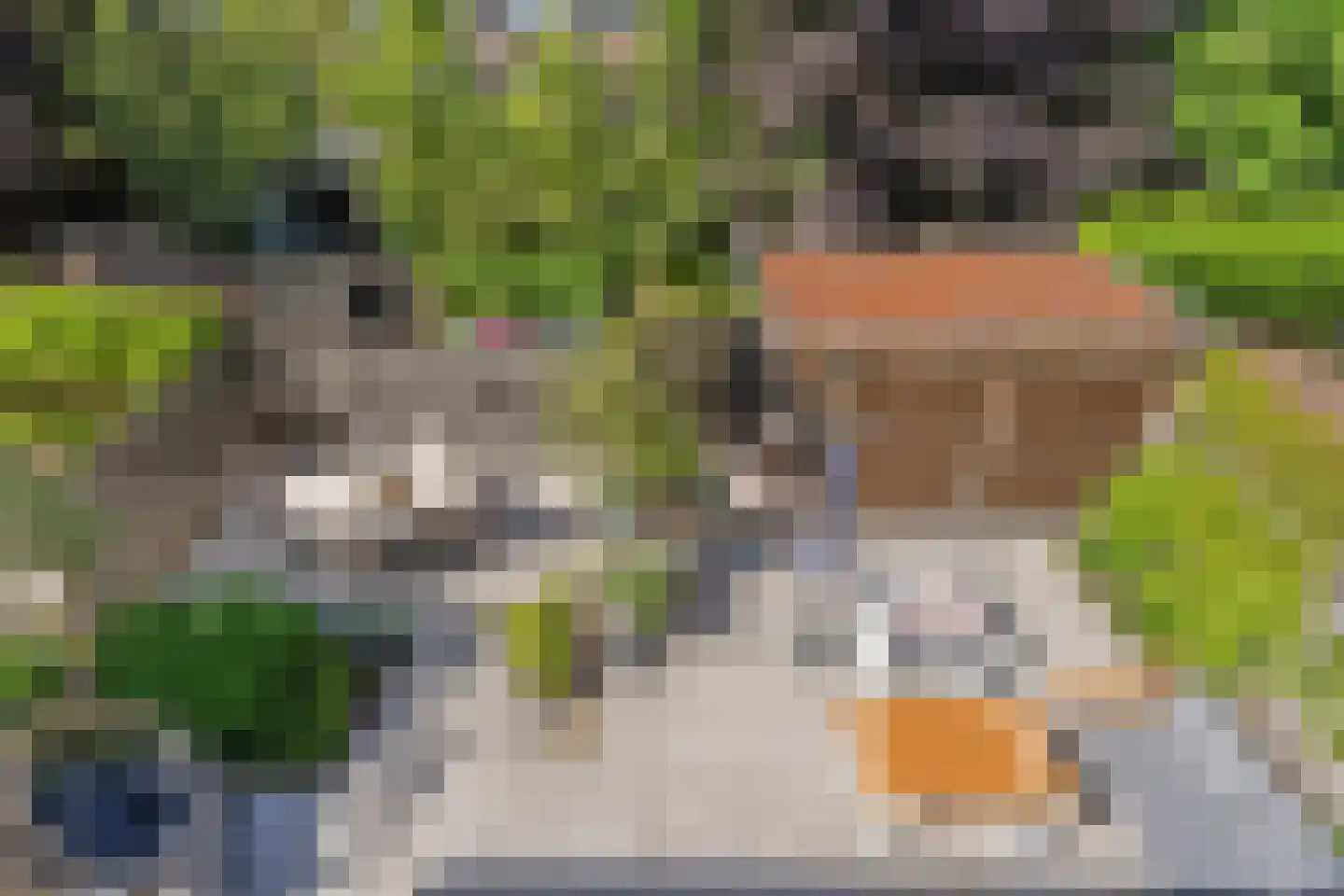 Cornelis Voorhoevelaan 24 Voorburg thumbnail 38