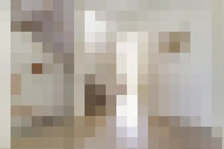 Cornelis Voorhoevelaan 40 Voorburg thumbnail 17