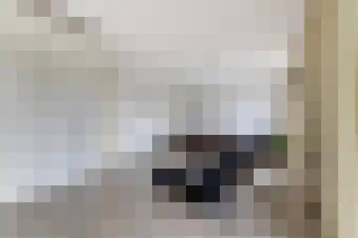 Cornelis Voorhoevelaan 40 Voorburg thumbnail 19
