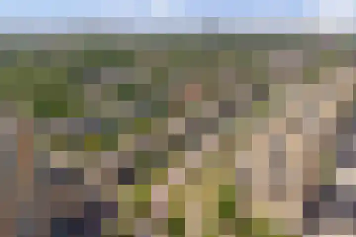 Cornelis Voorhoevelaan 40 Voorburg thumbnail 37
