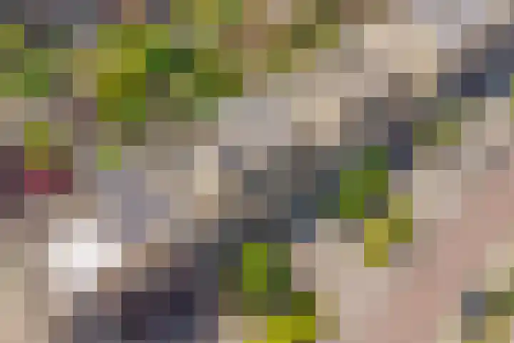 Cornelis Voorhoevelaan 40 Voorburg thumbnail 38