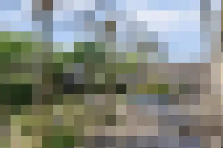 Cornelis Voorhoevelaan 40 Voorburg thumbnail 9