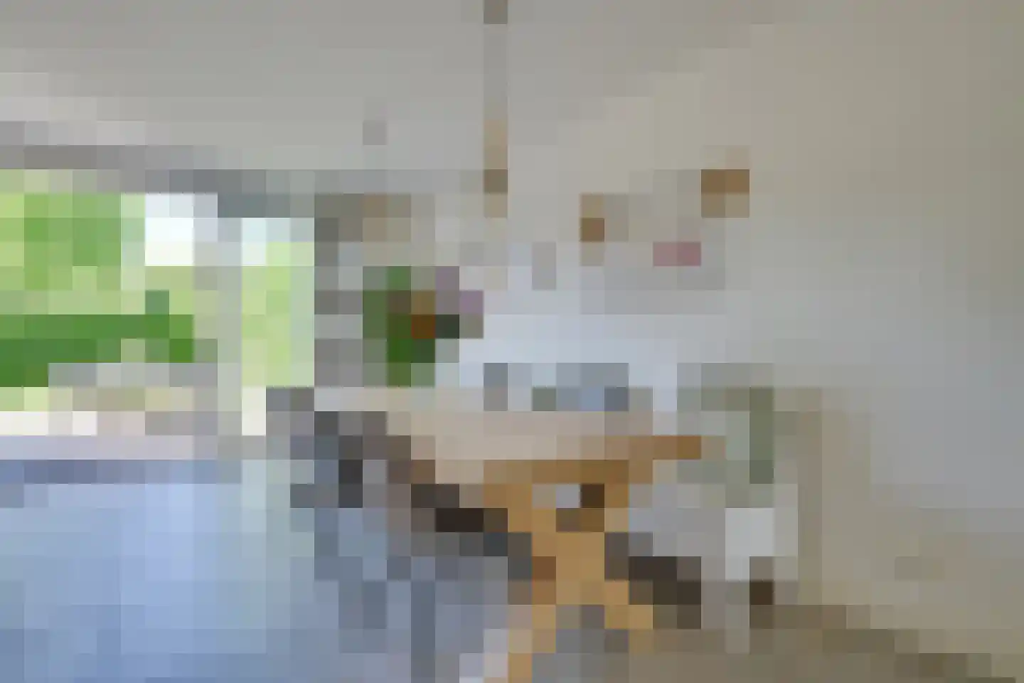 Cornelis Wagenaarhof 2 Heerhugowaard thumbnail 13