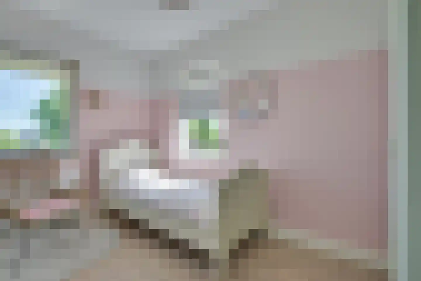 Cornelis Wagenaarhof 2 Heerhugowaard thumbnail 25