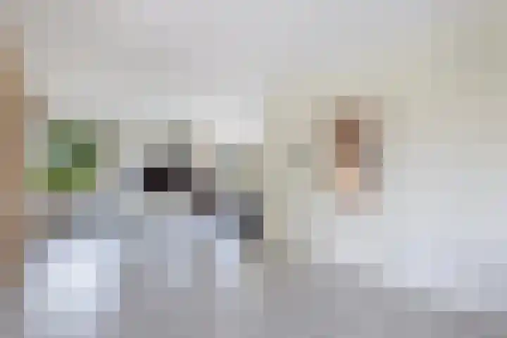 Cornelis Westerveldstraat 2 Steggerda thumbnail 10