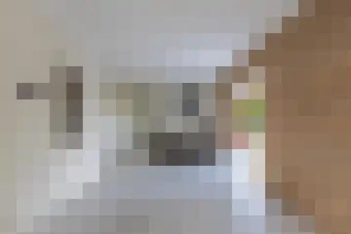 Cornelis Westerveldstraat 2 Steggerda thumbnail 15