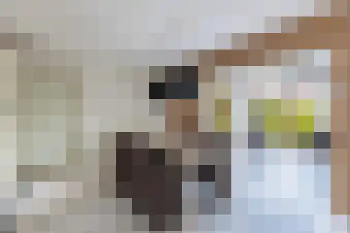 Cornelis Westerveldstraat 2 Steggerda thumbnail 16