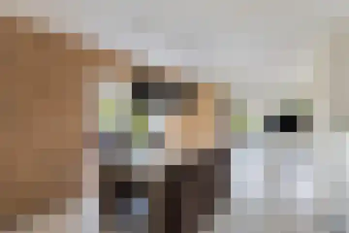 Cornelis Westerveldstraat 2 Steggerda thumbnail 17