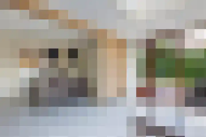 Cornelis Westerveldstraat 2 Steggerda thumbnail 20