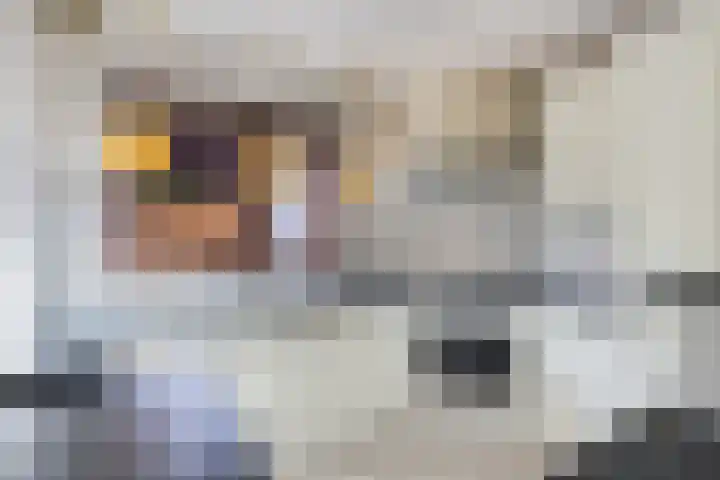 Cornelis Westerveldstraat 2 Steggerda thumbnail 21