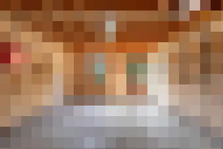 Cornelis Westerveldstraat 2 Steggerda thumbnail 27
