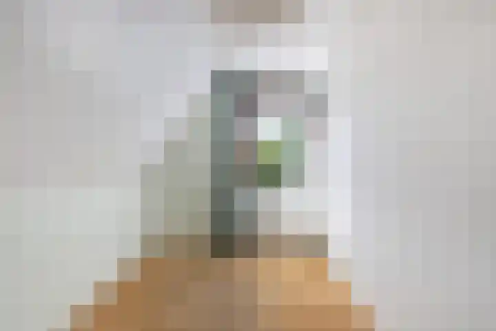 Cornelis Westerveldstraat 2 Steggerda thumbnail 33