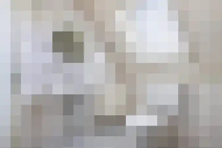 Cornelis Westerveldstraat 2 Steggerda thumbnail 34