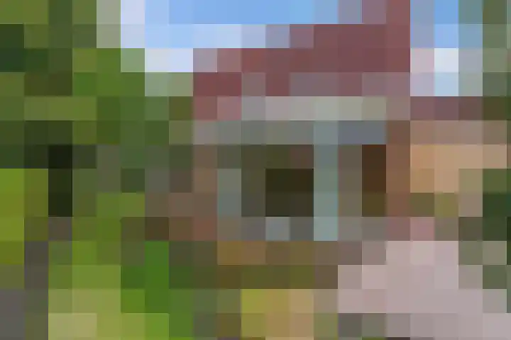 Cornelis Westerveldstraat 2 Steggerda thumbnail 37