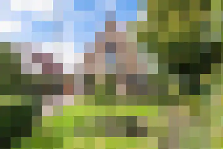 Cornelis Westerveldstraat 2 Steggerda thumbnail 45