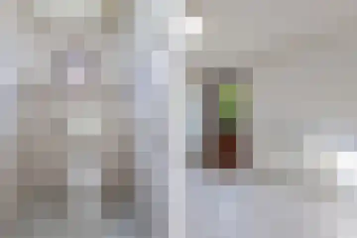 Cornelis Westerveldstraat 2 Steggerda thumbnail 7
