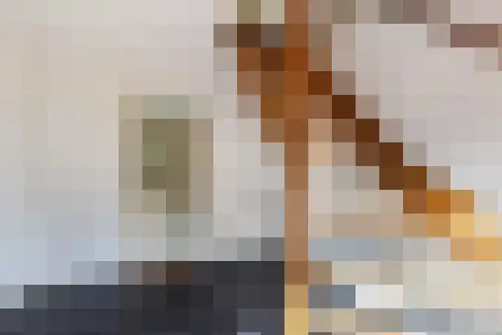 Cornelis Westerveldstraat 2 Steggerda thumbnail 8