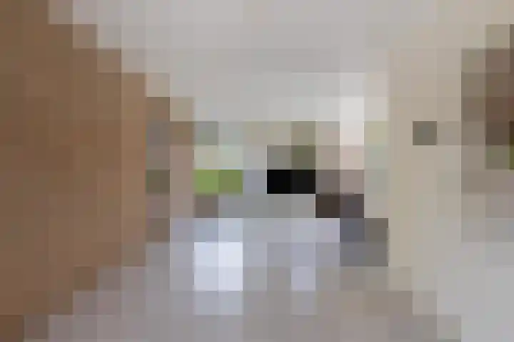 Cornelis Westerveldstraat 2 Steggerda thumbnail 9