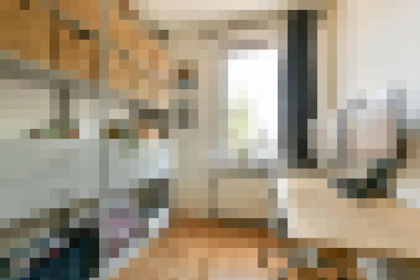 Cornelis Zillesenlaan 3 Amsterdam thumbnail 18