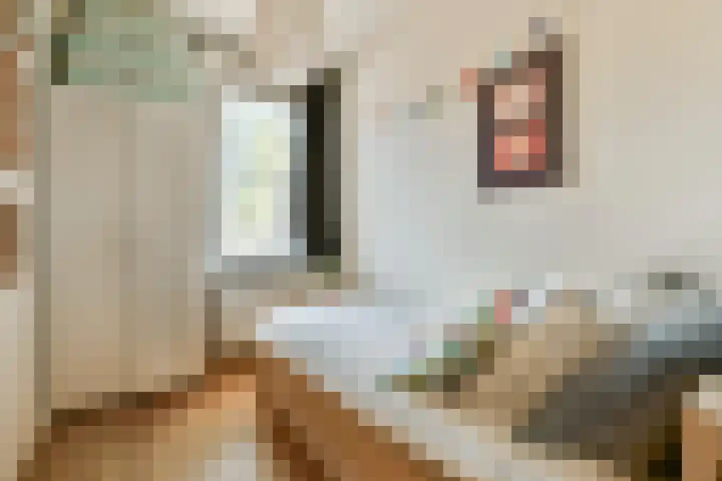 Cornelis Zillesenlaan 3 Amsterdam thumbnail 19
