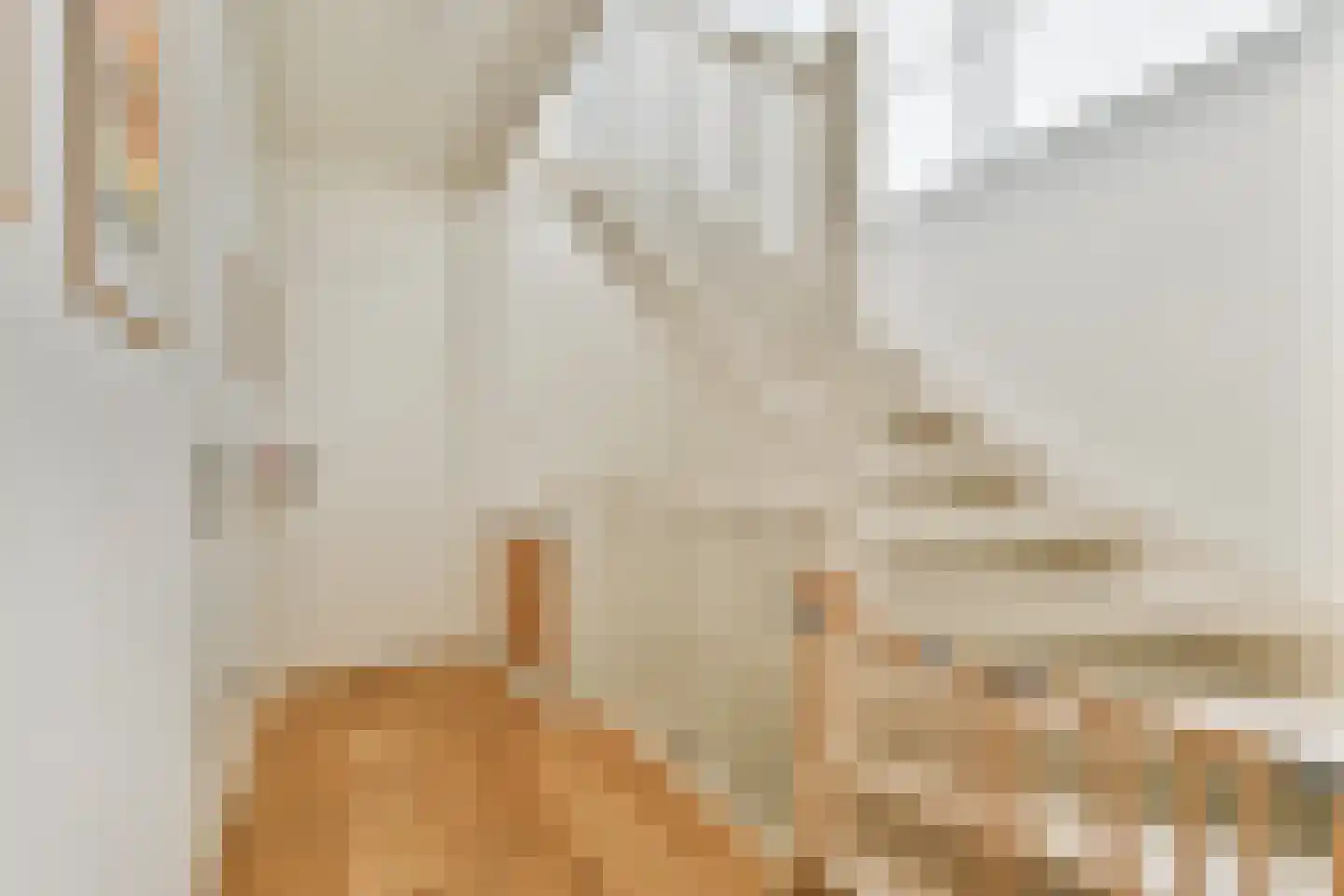 Cornelis Zillesenlaan 3 Amsterdam thumbnail 22