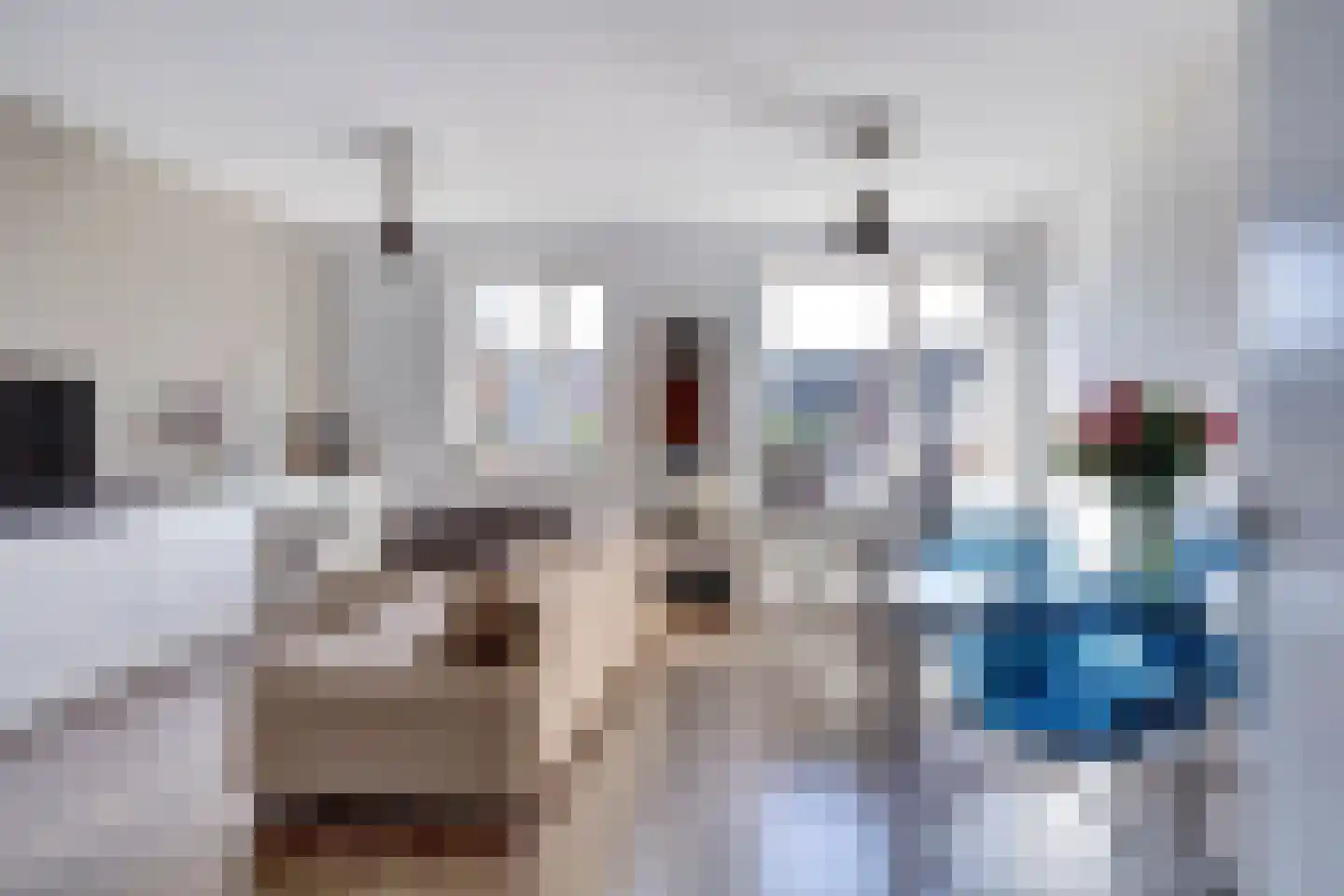 Cornelis Zillesenlaan 62 Amsterdam thumbnail 37