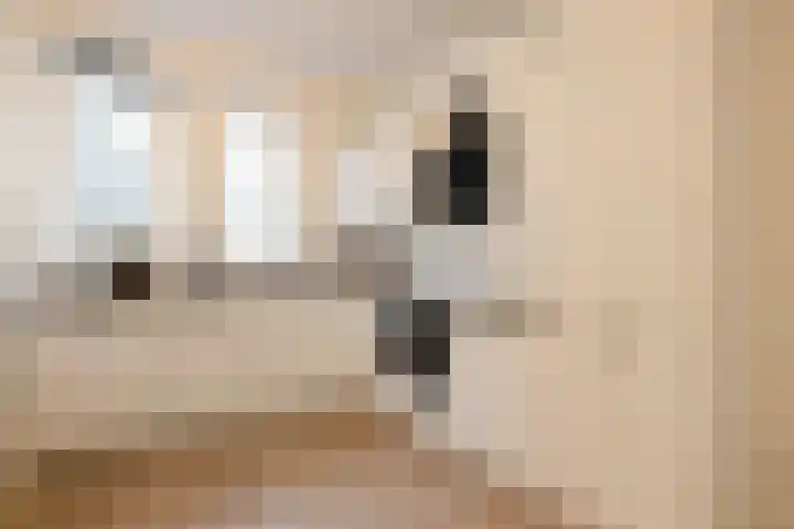 Cornelis Zillesenlaan 64 A Amsterdam thumbnail 18