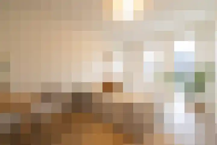 Cornelis Zillesenlaan 64 A Amsterdam thumbnail 24