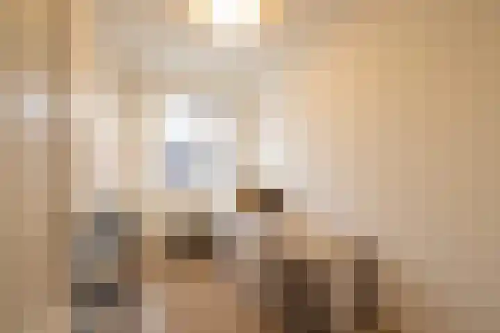Cornelis Zillesenlaan 64 A Amsterdam thumbnail 30