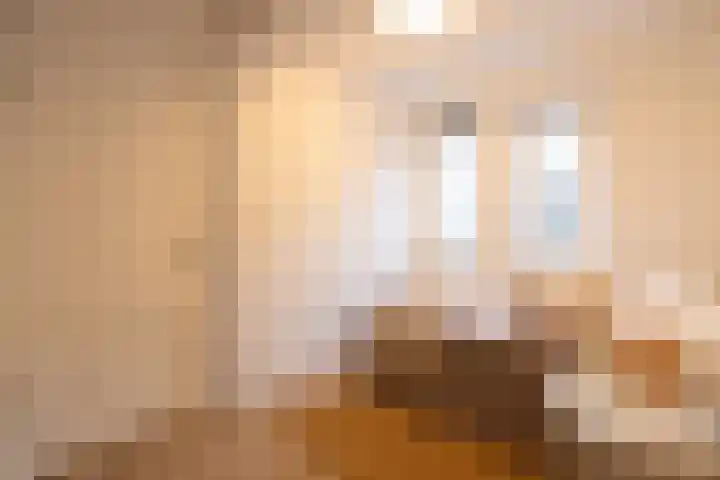 Cornelis Zillesenlaan 64 A Amsterdam thumbnail 34