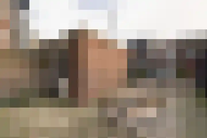 Cornelis Zillesenlaan 64 A Amsterdam thumbnail 41