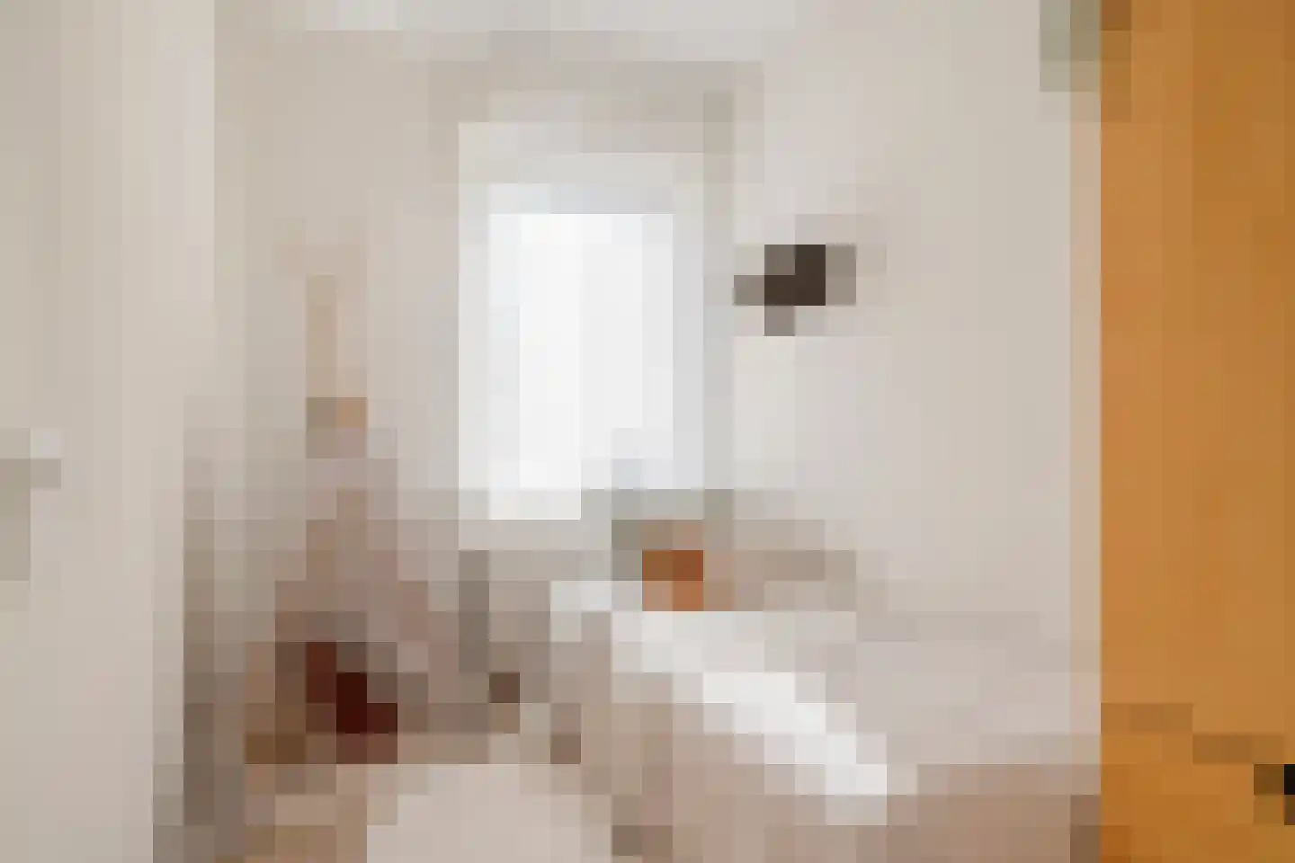 Cornelis Zillesenlaan 7 Amsterdam thumbnail 25