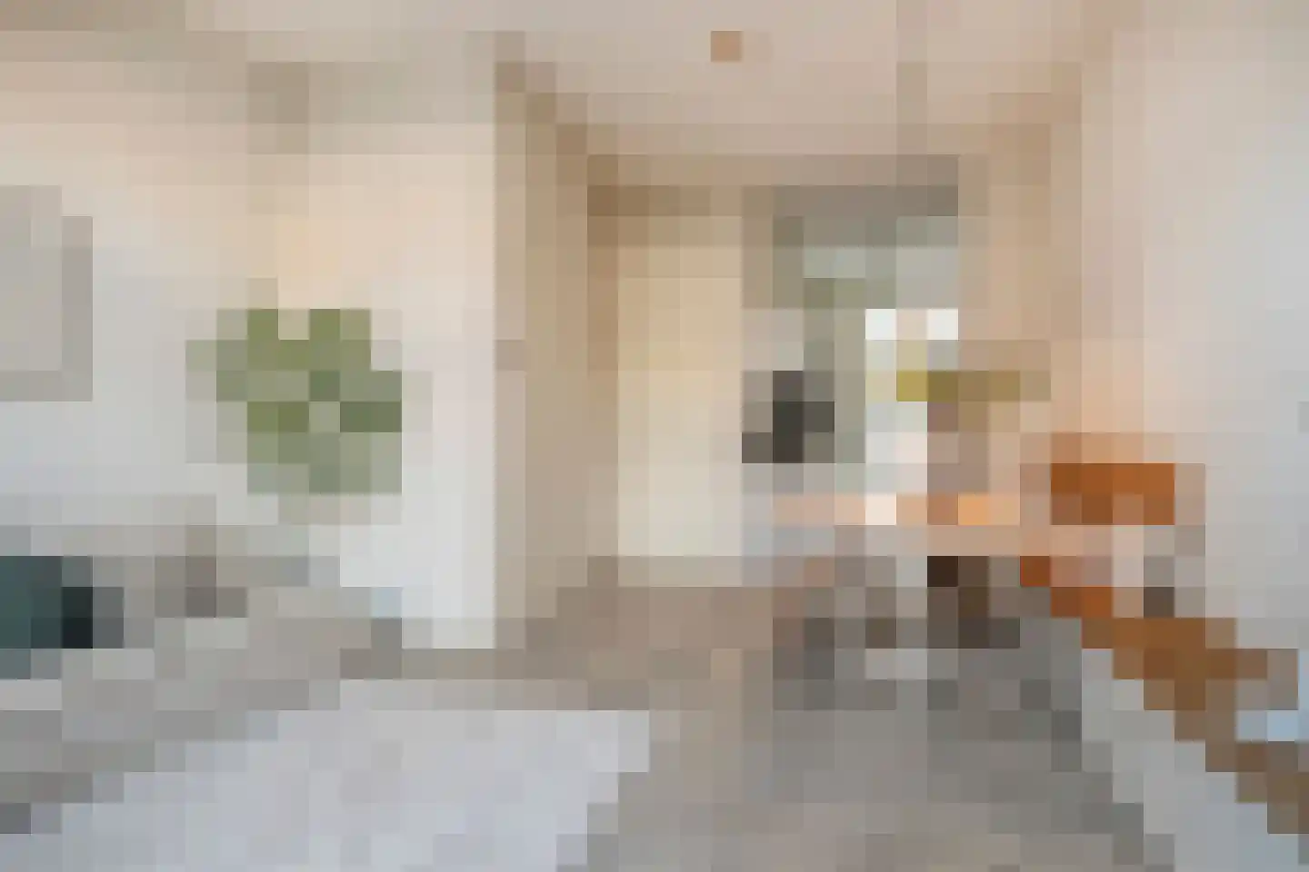 Cornelis Zillesenlaan 7 Amsterdam thumbnail 9