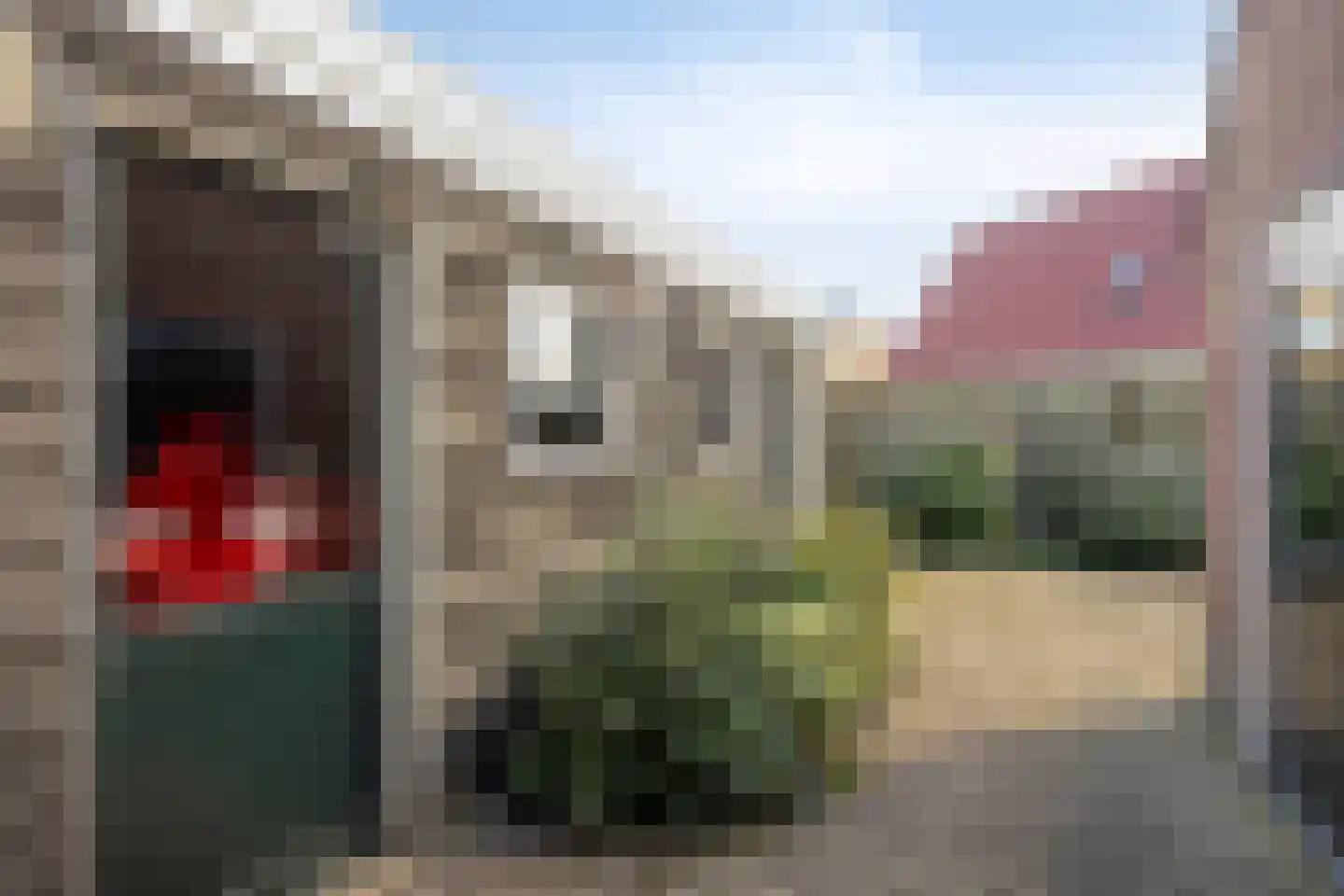 Cornelisgracht 15 Giethoorn thumbnail 33