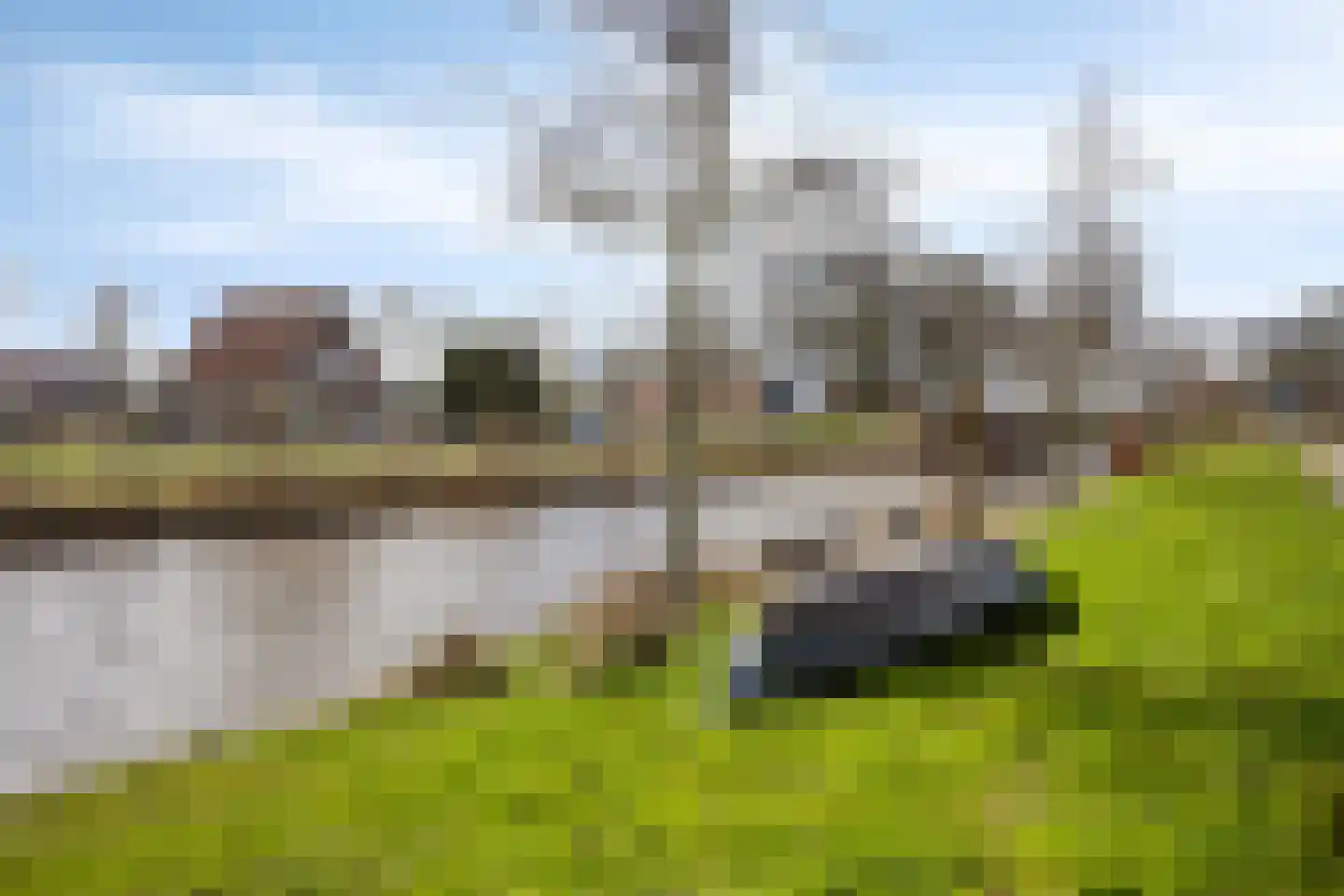 Cornelisgracht 15 Giethoorn thumbnail 39