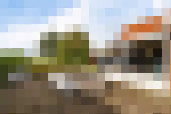 Cornelisgracht 30 Giethoorn thumbnail 36