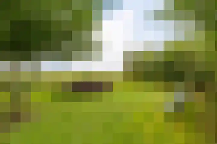 Cornelisgracht 30 Giethoorn thumbnail 44