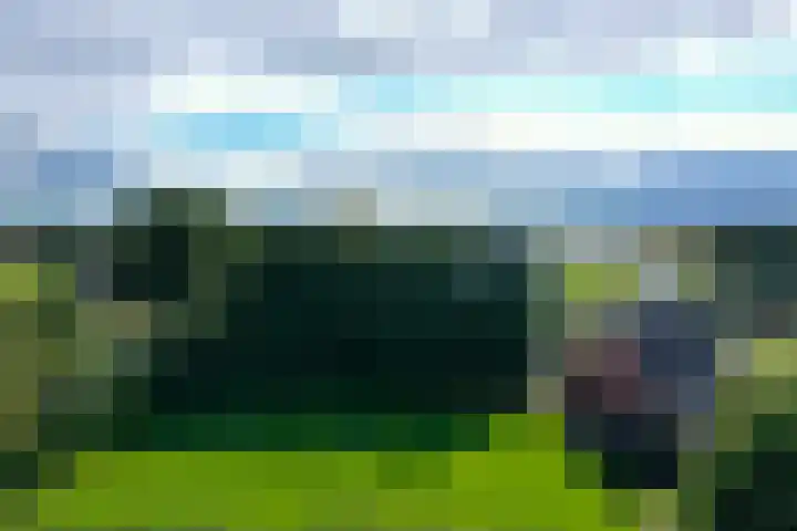 Cornelisgracht 30 Giethoorn thumbnail 48