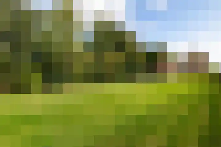 Cornelisgracht 30 Giethoorn thumbnail 5