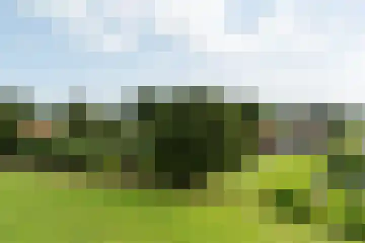 Cornelisgracht 30 Giethoorn thumbnail 6